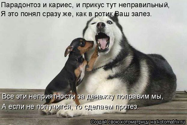 Все эти неприятности за денежку поправим мы, А если не получится, то сделаем протез. Парадонтоз и кар... Котоматрица: Все эти неприятности за денежку поправим мы, А если не получится, то сделаем протез. Парадонтоз и кариес, и прикус тут неправильный, Я это по