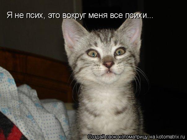 Я не псих, это вокруг меня все психи...... Котоматрица: Я не псих, это вокруг меня все психи...