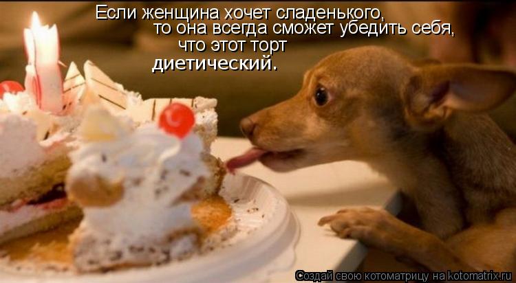 Если женщина хочет сладенького, то она всегда сможет убедить себя, что этот торт диетический.... Котоматрица: Если женщина хочет сладенького, то она всегда сможет убедить себя, что этот торт диетический.