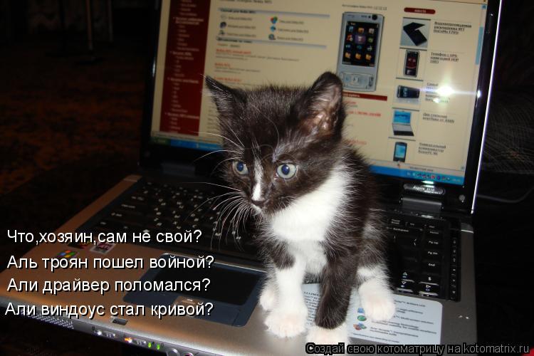 Аль троян пошел войной? Али драйвер поломался? Али виндоус стал кривой? Что,хозяин,сам не свой?... Котоматрица: Аль троян пошел войной? Али драйвер поломался? Али виндоус стал кривой? Что,хозяин,сам не свой?