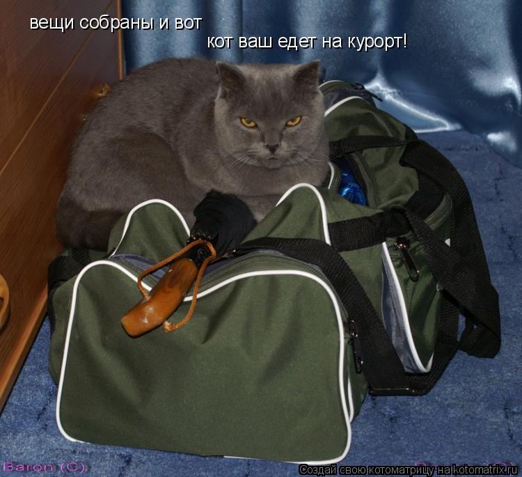 вещи собраны и вот кот ваш едет на курорт!... Котоматрица: вещи собраны и вот кот ваш едет на курорт!