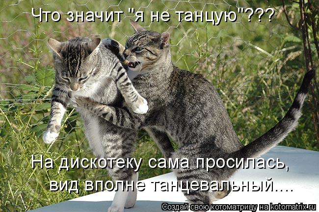 Что значит "я не танцую"??? На дискотеку сама просилась, вид вполне танцевальный....... Котоматрица: Что значит "я не танцую"??? На дискотеку сама просилась, вид вполне танцевальный....