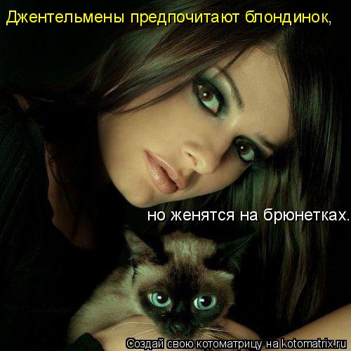 Джентельмены предпочитают блондинок, но женятся на брюнетках.... Котоматрица: Джентельмены предпочитают блондинок, но женятся на брюнетках.
