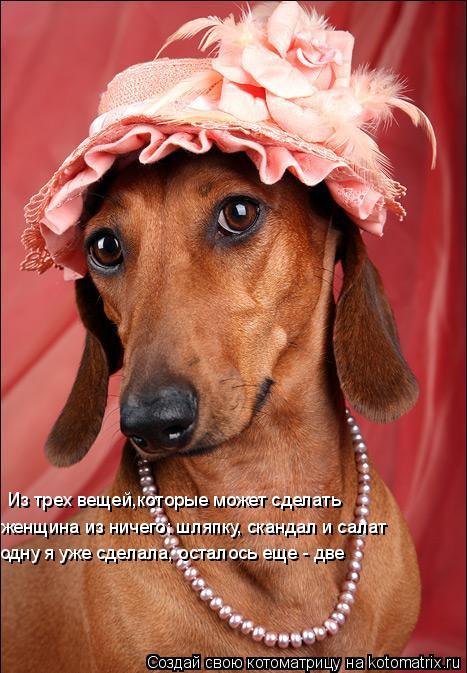 Живой Журнал Жульена