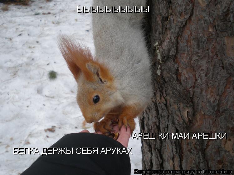 АРЕШ КИ МАИ АРЕШКИ ЫЫЫЫЫЫЫЫЫЫ БЕЛКА ДЕРЖЫ СЕБЯ АРУКАХ... Котоматрица: АРЕШ КИ МАИ АРЕШКИ ЫЫЫЫЫЫЫЫЫЫ БЕЛКА ДЕРЖЫ СЕБЯ АРУКАХ
