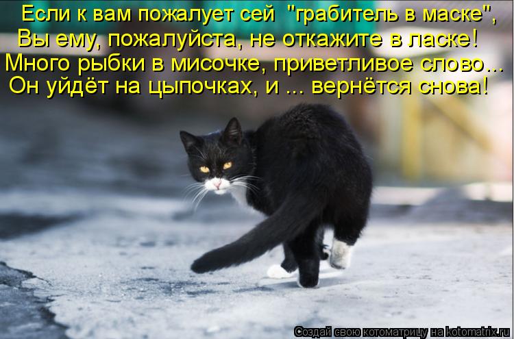 Он уйдёт на цыпочках, и ... вернётся снова! Если к вам пожалует сей "грабитель в маске", Вы ему, по... Котоматрица: Он уйдёт на цыпочках, и ... вернётся снова! Если к вам пожалует сей "грабитель в маске", Вы ему, пожалуйста, не откажите в ласке! Много рыбки в м