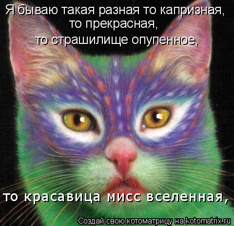 Я бываю такая разная то капризная, то прекрасная, то страшилище опупенное, то красавица мисс вселе... Котоматрица: Я бываю такая разная то капризная, то прекрасная, то страшилище опупенное, то красавица мисс вселенная,