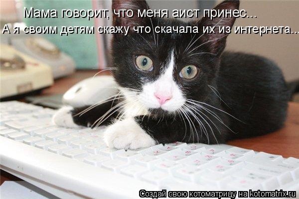 Мама говорит, что меня аист принес... А я своим детям скажу что скачала их из интернета...... Котоматрица: Мама говорит, что меня аист принес... А я своим детям скажу что скачала их из интернета...