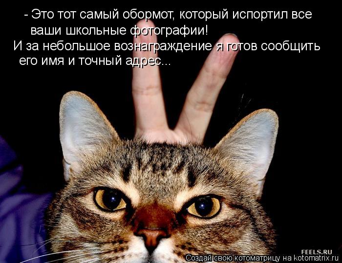 - Это тот самый обормот, который испортил все ваши школьные фотографии! И за небольшое вознаграждени... Котоматрица: - Это тот самый обормот, который испортил все ваши школьные фотографии! И за небольшое вознаграждение я готов сообщить его имя и точный адр
