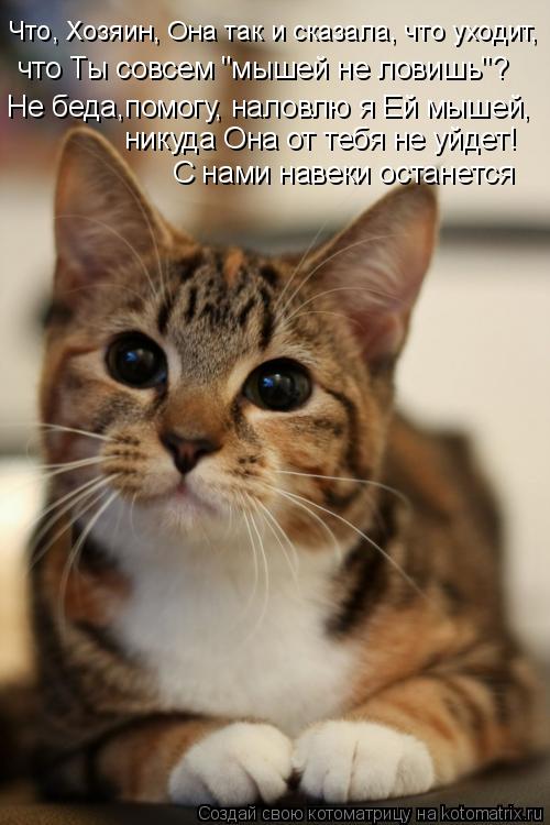 Котоматрица: никуда Она от тебя не уйдет! С нами навеки останется Не беда,помогу, наловлю я Ей мышей, Что, Хозяин, Она так и сказала, что уходит, что Ты совс