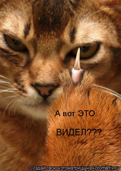 Котоматрица: А вот ЭТО  ВИДЕЛ???