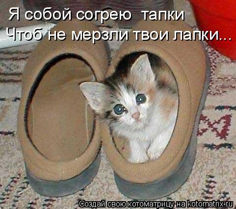 Я собой согрею тапки Чтоб не мерзли твои лапки...... Котоматрица: Я собой согрею тапки Чтоб не мерзли твои лапки...
