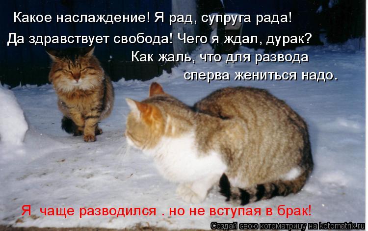 Какое наслаждение! Я рад, супруга рада! Да здравствует свобода! Чего я ждал, дурак? Как жаль, что д... Котоматрица: Какое наслаждение! Я рад, супруга рада! Да здравствует свобода! Чего я ждал, дурак? Как жаль, что для развода сперва жениться надо… Я чаще