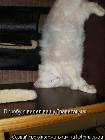 Котоматрица: В гробу я видел вашу Гравитацыю