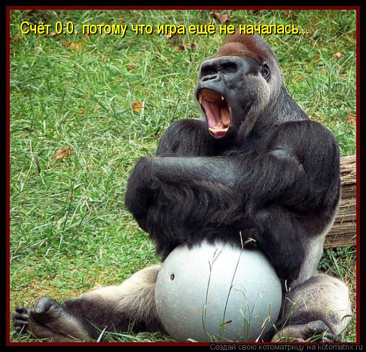 Счёт 0:0, потому что игра ещё не началась...... Котоматрица: Счёт 0:0, потому что игра ещё не началась...