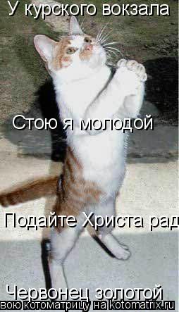 У курского вокзала Стою я молодой Подайте Христа ради Червонец золотой... Котоматрица: У курского вокзала Стою я молодой Подайте Христа ради Червонец золотой