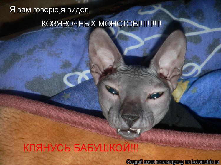 Котоматрица: Я вам говорю,я видел КОЗЯВОЧНЫХ МОНСТОВ!!!!!!!!!! КЛЯНУСЬ БАБУШКОЙ!!!