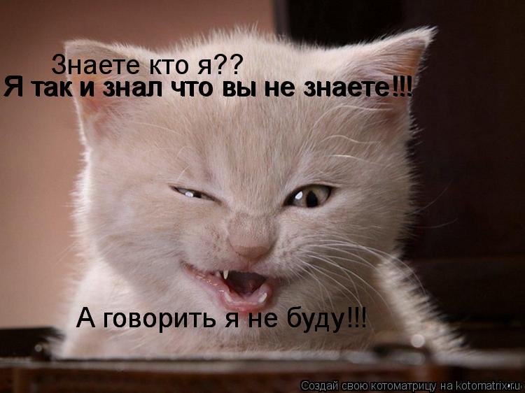 Котоматрица: Знаете кто я?? Я так и знал что вы не знаете!!! Я так и знал что вы не знаете!!! А говорить я не буду!!! А говорить я не буду!!!
