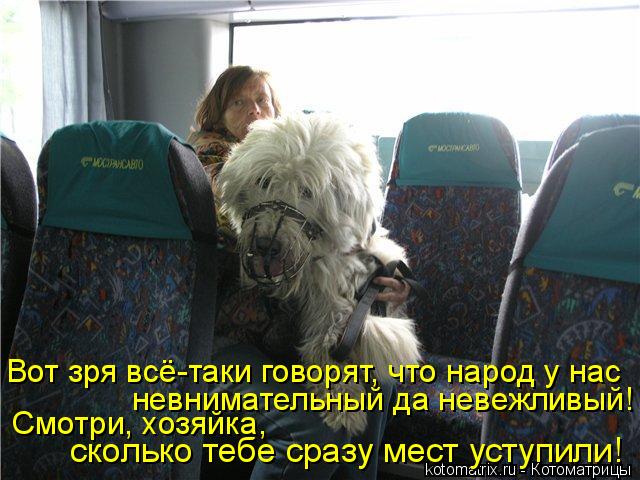 Вот зря всё-таки говорят, что народ у нас невнимательный да невежливый! Смотри, хозяйка, сколько те... Котоматрица: Вот зря всё-таки говорят, что народ у нас невнимательный да невежливый! Смотри, хозяйка, сколько тебе сразу мест уступили!