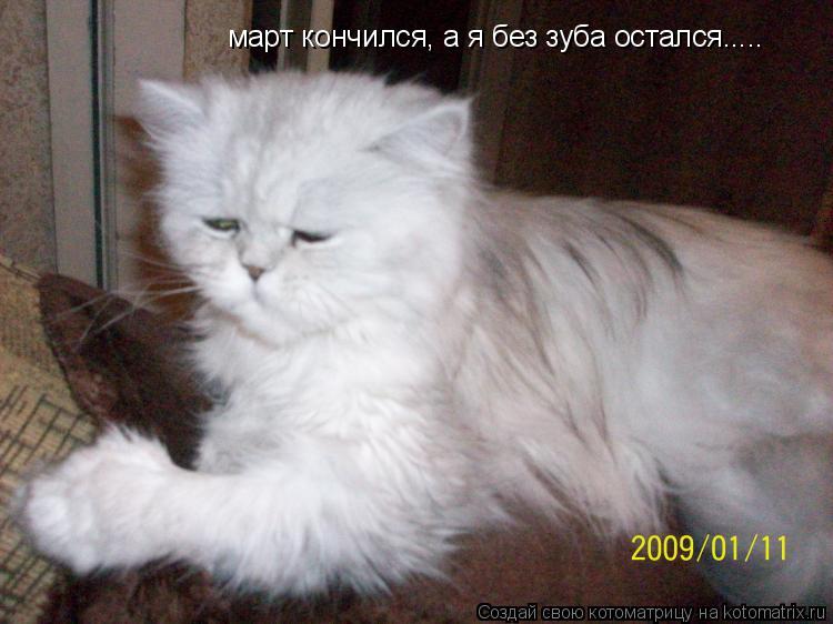 март кончился, а я без зуба остался........ Котоматрица: март кончился, а я без зуба остался.....