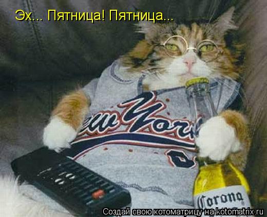 http://kotomatrix.ru/images/lolz/2009/02/01/ts.jpg