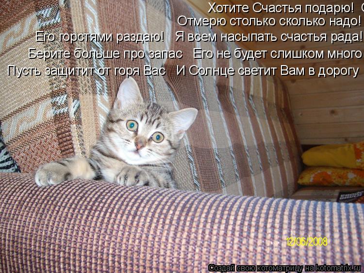 А хочешь счастье подарю отмерив столько сколько надо А хочешь счастье подарю отмерив столько сколько надо