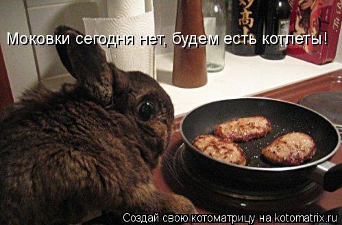 Моковки сегодня нет, будем есть котлеты!... Котоматрица: Моковки сегодня нет, будем есть котлеты!