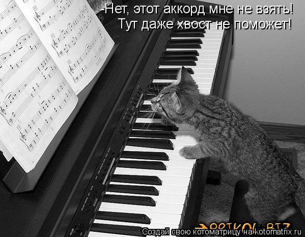 Котоматрица: -Нет, этот аккорд мне не взять! Тут даже хвост не поможет!