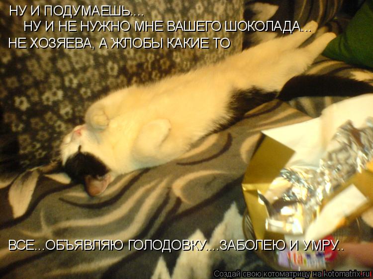 НУ И ПОДУМАЕШЬ.... НУ И НЕ НУЖНО МНЕ ВАШЕГО ШОКОЛАДА... НЕ ХОЗЯЕВА, А ЖЛОБЫ КАКИЕ ТО ВСЕ...ОБЪЯВЛЯЮ Г... Котоматрица: НУ И ПОДУМАЕШЬ.... НУ И НЕ НУЖНО МНЕ ВАШЕГО ШОКОЛАДА... НЕ ХОЗЯЕВА, А ЖЛОБЫ КАКИЕ ТО ВСЕ...ОБЪЯВЛЯЮ ГОЛОДОВКУ....ЗАБОЛЕЮ И УМРУ..