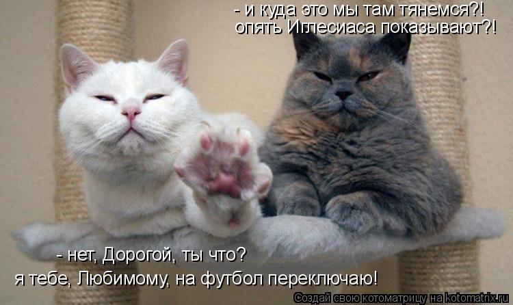 - и куда это мы там тянемся?! опять Иглесиаса показывают?! - нет, Дорогой, ты что? я тебе, Любимому,... Котоматрица: - и куда это мы там тянемся?! опять Иглесиаса показывают?! - нет, Дорогой, ты что? я тебе, Любимому, на футбол переключаю!
