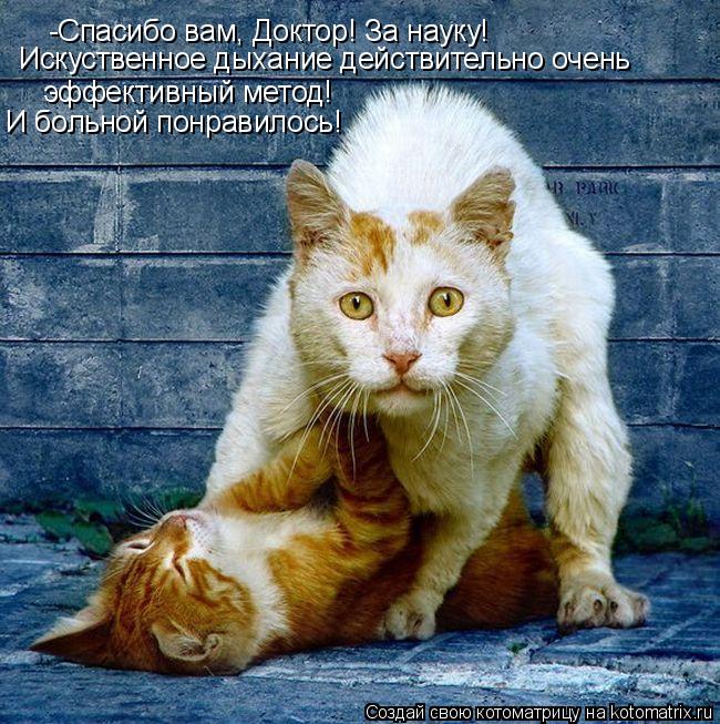 -Спасибо вам, Доктор! За науку! Искуственное дыхание действительно очень эффективный метод! И больной... Котоматрица: -Спасибо вам, Доктор! За науку! Искуственное дыхание действительно очень эффективный метод! И больной понравилось!