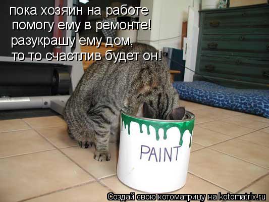 пока хозяин на работе помогу ему в ремонте! разукрашу ему дом, то то счастлив будет он!... Котоматрица: пока хозяин на работе помогу ему в ремонте! разукрашу ему дом, то то счастлив будет он!