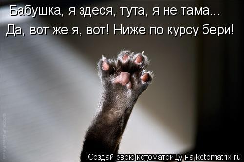 Да, вот же я, вот! Ниже по курсу бери! Бабушка, я здеся, тута, я не тама...... Котоматрица: Да, вот же я, вот! Ниже по курсу бери! Бабушка, я здеся, тута, я не тама...