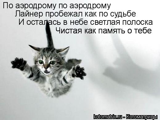 По аэродрому по аэродрому Лайнер пробежал как по судьбе И осталась в небе светлая полоска Чистая как ... Котоматрица: По аэродрому по аэродрому Лайнер пробежал как по судьбе И осталась в небе светлая полоска Чистая как память о тебе Чистая как память о тебе