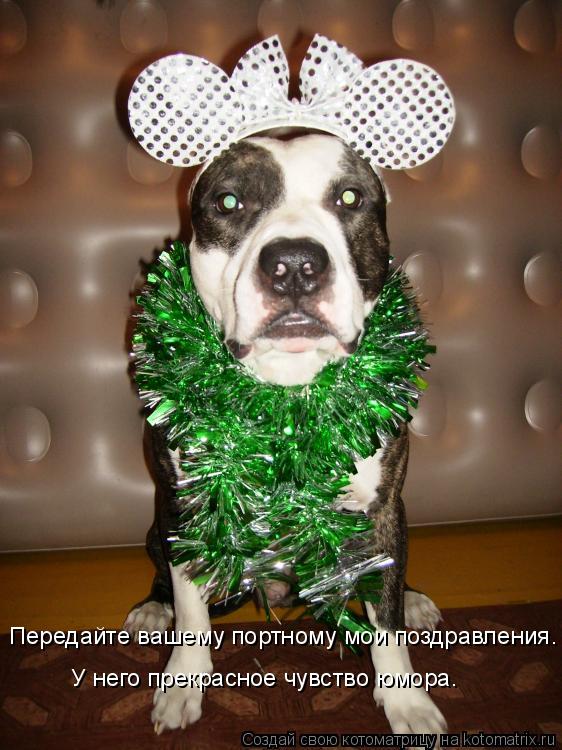 Передай ему мои поздравления перевод Передай ему мои поздравления перевод