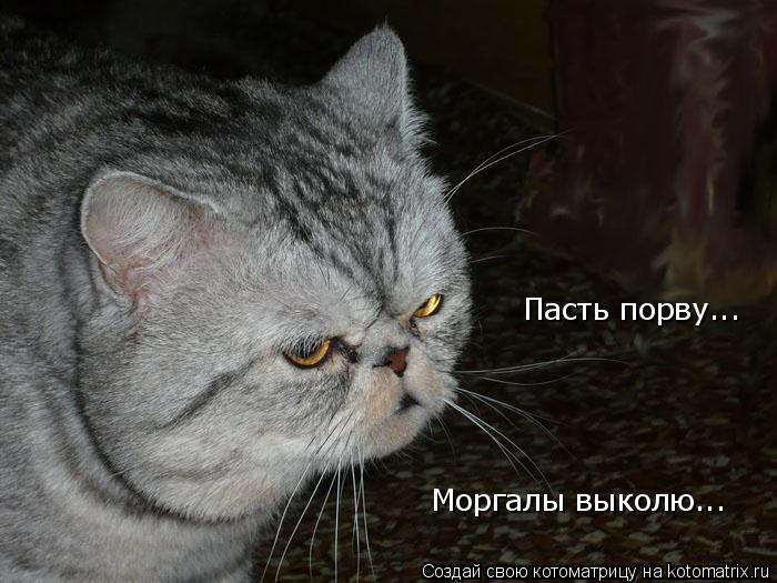 Моргалы Выколю Гифка
