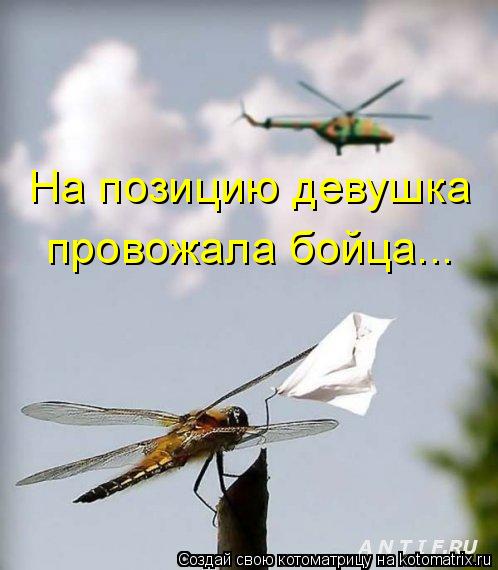 На позицию девушка провожала бойца...... Котоматрица: На позицию девушка провожала бойца...