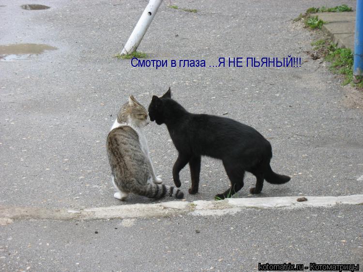 мне уже здесь ловить не чего мне уже здесь ловить не чего