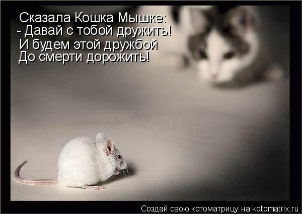Сказала Кошка Мышке: - Давай с тобой дружить! И будем этой дружбой До смерти дорожить!... Котоматрица: Сказала Кошка Мышке: - Давай с тобой дружить! И будем этой дружбой До смерти дорожить!
