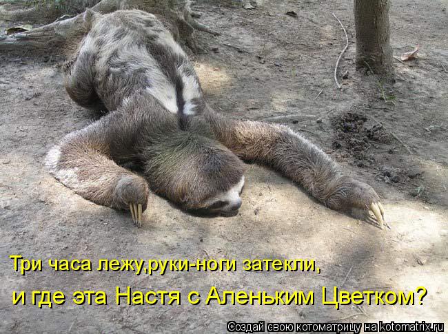Три часа лежу,руки-ноги затекли, и где эта Настя с Аленьким Цветком?... Котоматрица: Три часа лежу,руки-ноги затекли, и где эта Настя с Аленьким Цветком?
