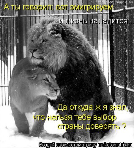 А ты говорил: вот эмигрируем и жизнь наладится... Да откуда ж я знал, что нельзя тебе выбор страны ... Котоматрица: А ты говорил: вот эмигрируем и жизнь наладится... Да откуда ж я знал, что нельзя тебе выбор страны доверять ?