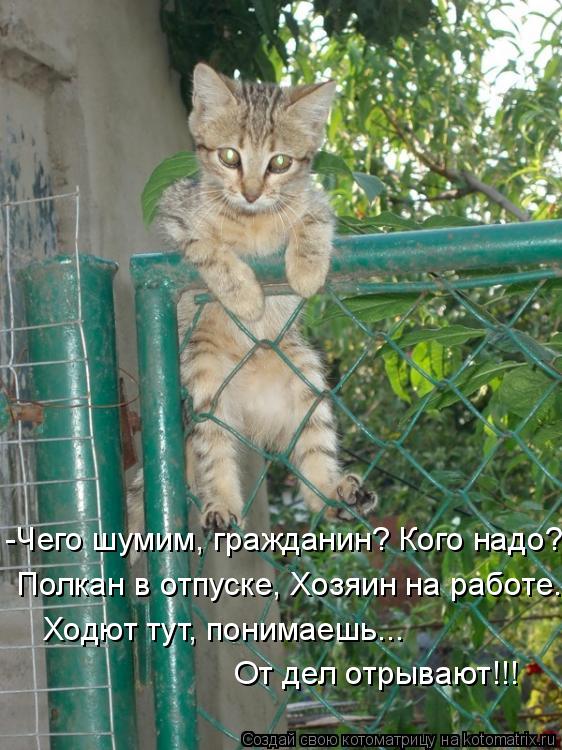 -Чего шумим, гражданин? Кого надо? Полкан в отпуске, Хозяин на работе. Ходют тут, понимаешь... От дел... Котоматрица: -Чего шумим, гражданин? Кого надо? Полкан в отпуске, Хозяин на работе. Ходют тут, понимаешь... От дел отрывают!!!