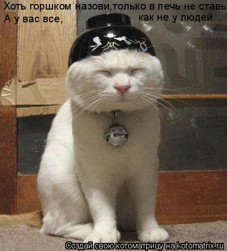Хоть горшком назови,только в печь не ставь. А у вас все, как не у людей.... Котоматрица: Хоть горшком назови,только в печь не ставь. А у вас все, как не у людей.