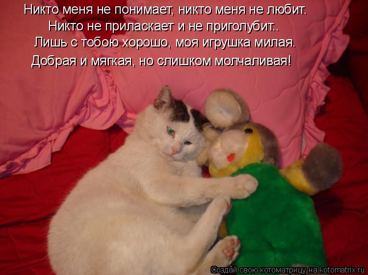 Котоматрица: Никто меня не понимает, никто меня не любит. Никто не приласкает и не приголубит.. Лишь с тобою хорошо, моя игрушка милая. Добрая и мягкая, но 