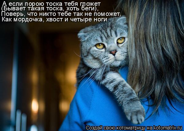 А если порою тоска тебя гложет (Бывает такая тоска, хоть беги), Поверь, что никто тебе так не поможет... Котоматрица: А если порою тоска тебя гложет (Бывает такая тоска, хоть беги), Поверь, что никто тебе так не поможет, Как мордочка, хвост и четыре ноги