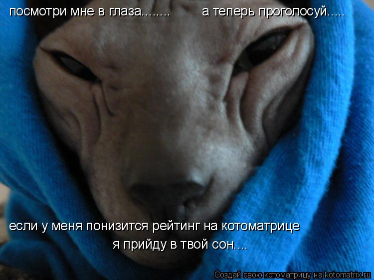 посмотри мне в глаза........ а теперь проголосуй..... если у меня понизится рейтинг на котоматрице я... Котоматрица: посмотри мне в глаза........ а теперь проголосуй..... если у меня понизится рейтинг на котоматрице я прийду в твой сон....