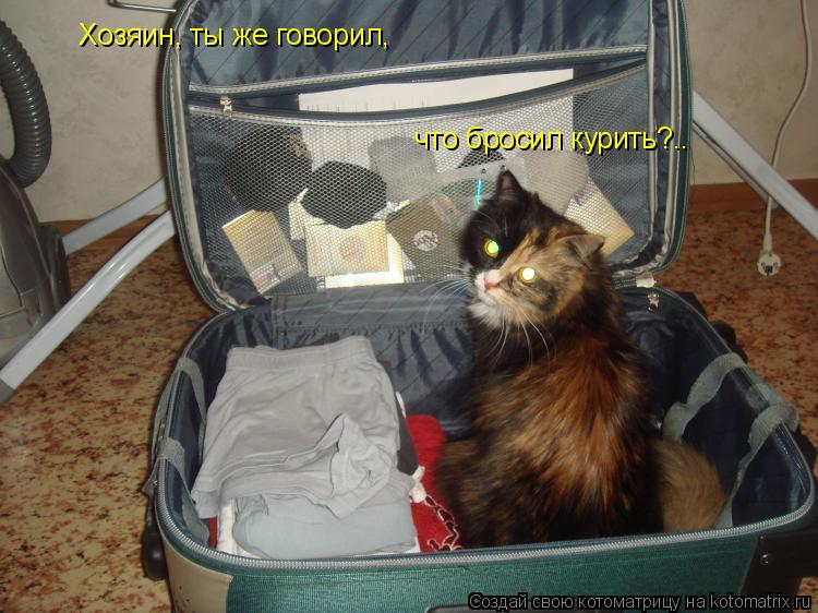 Хозяин, ты же говорил, что бросил курить?..... Котоматрица: Хозяин, ты же говорил, что бросил курить?..