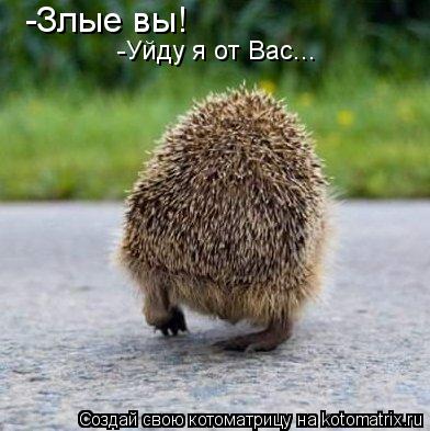 -Злые вы! -Уйду я от Вас...... Котоматрица: -Злые вы! -Уйду я от Вас...