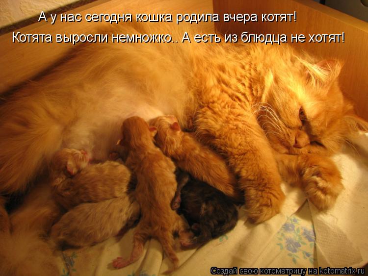 Открытки с днем рождения бесплатно Ответы Подскажите текст про осень. Подскажите текст про