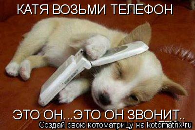 КАТЯ ВОЗЬМИ ТЕЛЕФОН ЭТО ОН...ЭТО ОН ЗВОНИТ..... Котоматрица: КАТЯ ВОЗЬМИ ТЕЛЕФОН ЭТО ОН...ЭТО ОН ЗВОНИТ..